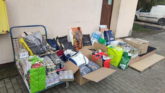 Okazali wielkie serca dla naszych czworonożnych przyjaciół