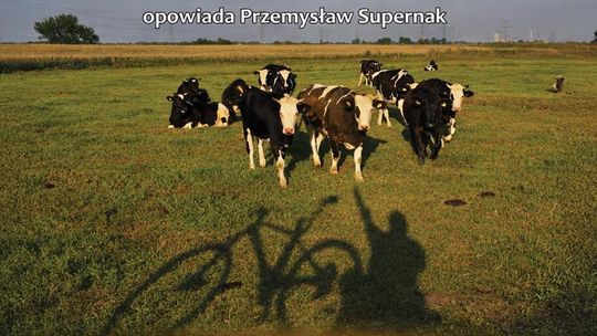 Opolskie na rowerze - spotkanie z podróżnikiem Przemysławem Supernakiem Opolskie na rowerze - spotkanie z podróżnikiem Przemysławem Supernakiem