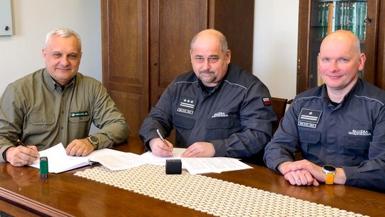 Osadzeni zbudują budy i schrony dla czworonogów