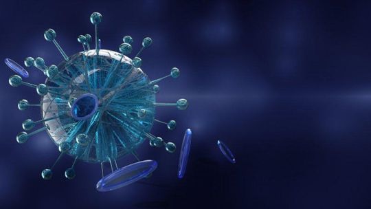 Osiem nowych przypadków koronawirusa w regionie