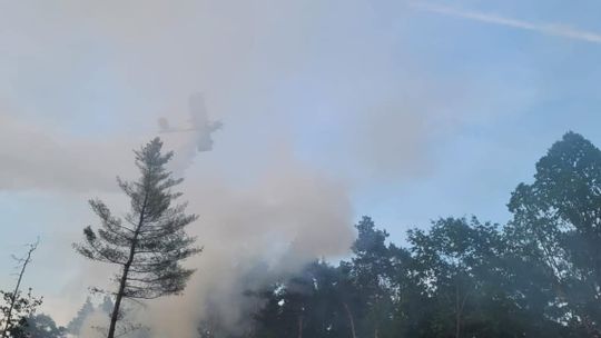 Samolot i osiem zastępów straży pożarnej gasiło pożar w Kotlarni