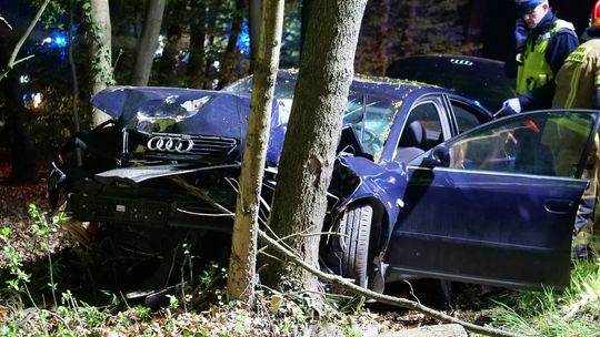Osobowe audi uderzyło w drzewo. Kierowca uciekł do lasu