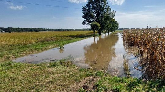 Ostrzeżenie przed intensywnymi opadami deszczu i lokalnymi podtopieniami