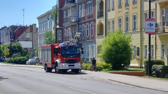 Osy zagnieździły się w bursie i budynku szkoły specjalnej