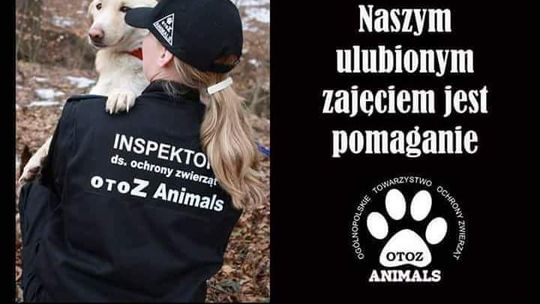 OTOZ Animals Kędzierzyn-Koźle prosi o wsparcie