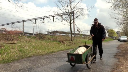 Pan Stefan z Kędzierzyna-Koźla żyje z dnia na dzień. Od pięciu lat zbiera złom. FILM