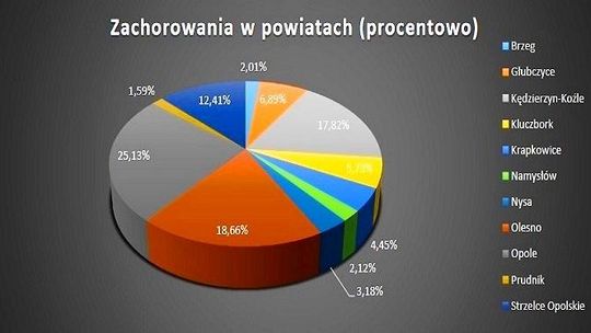 Pandemiczne statystyki jak na dłoni. Zobacz jak COVID-19 rozprzestrzeniał się przez cztery miesiące na Opolszczyźnie
