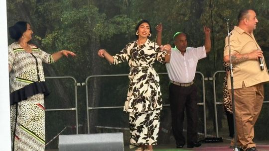 Park Pojednania roztańczony w rytmie romskiej kultury. ZDJĘCIA
