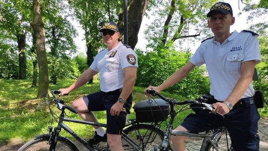 Patrole rowerowe Straży Miejskiej w Kędzierzynie-Koźlu stały się już pewną tradycją 