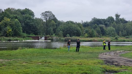 Piana na Odrze. Interweniowała straż pożarna, policja oraz WIOŚ