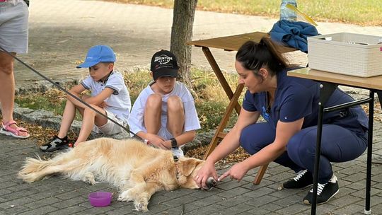 Pierwsza pomoc na cztery łapy. ZDJĘCIA