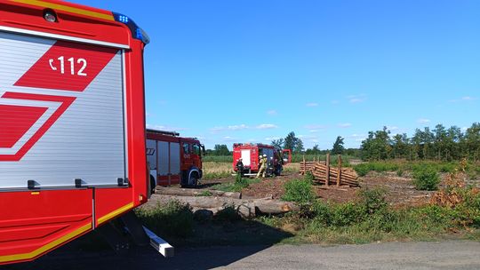 Pożar lasu w Kędzierzynie-Koźlu. Zatrzymano podejrzanego o podpalenie Pożar lasu w Kędzierzynie-Koźlu. Zatrzymano podejrzanego o podpalenie