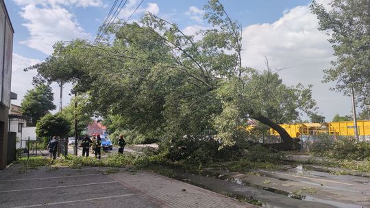 Plan adaptacji do zmian klimatu do konsultacji