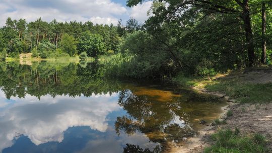 Płetwonurkowie przeszukują Leśne Jeziorko. Na brzegu znaleziono odzież