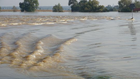 Po przejściu wielkiej wody. Raport z gmin Bierawa, Cisek i Reńska Wieś