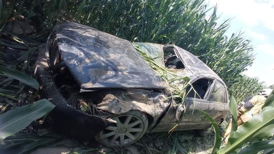 Po zderzeniu pojazdów jeden z samochodów wjechał w pole kukurydzy