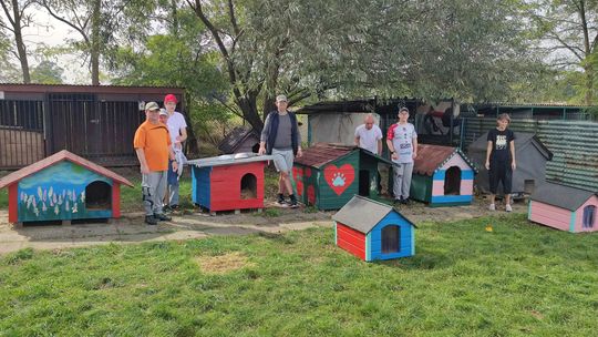 Podopieczni "Promyczka" pomalowali budy w schronisku dla zwierząt. Jest pięknie i kolorowo. ZDJĘCIA