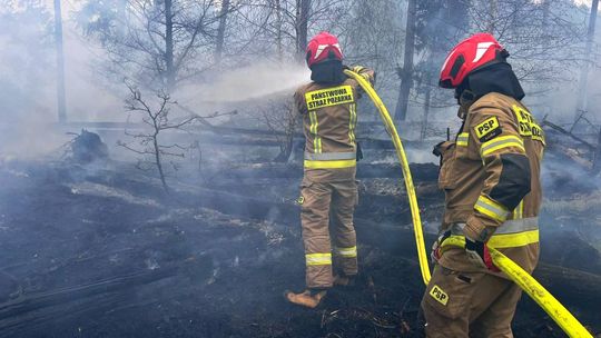 Podpalacz naszych lasów wciąż pozostaje bezkarny Podpalacz naszych lasów wciąż pozostaje bezkarny