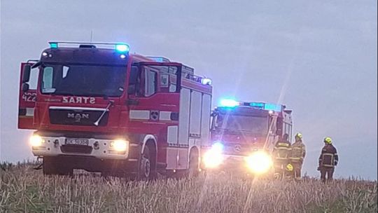 Celowe podpalenia w gminie Polska Cerekiew? Strażacy gasili ściernisko