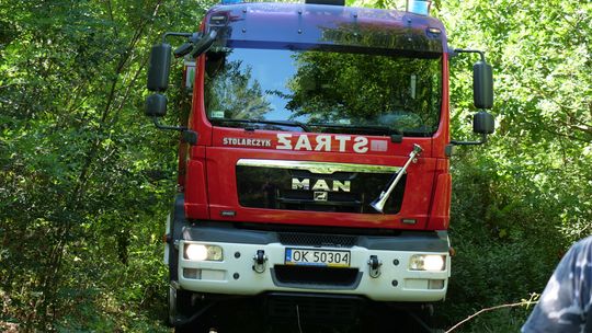 Podpalacz wrócił? Pożar trzcin w miejscowości Dzielawy