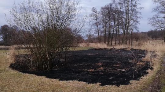 Podpalacz z gminy Polska Cerekiew znowu się uaktywnił