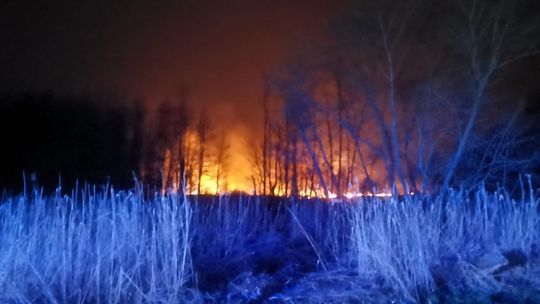 Podpalacz znowu dał o sobie znać! Palił się hektar nieużytków