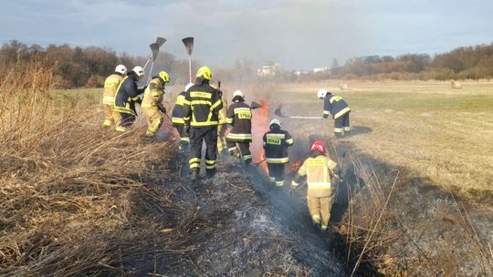 Policja przypomina: wypalanie traw jest nielegalne i niebezpieczne!