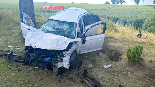 Policyjne działania „Bezpieczna DK38” po tragicznym weekendzie