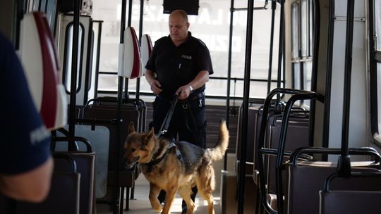 Policyjne psy szukały narkotyków i materiałów wybuchowych w autobusach MZK