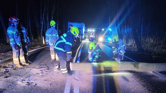 Powalone drzewo zablokowało drogę krajową nr 45 w Ciężkowicach