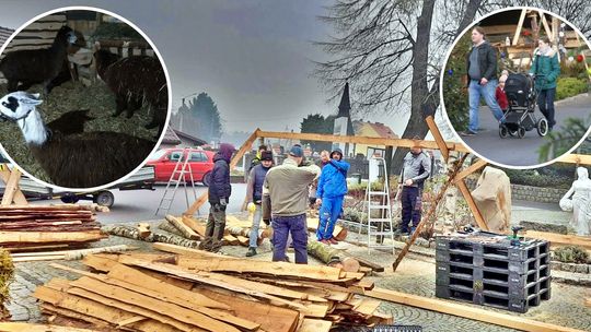 Powstaje żywa szopka bożonarodzeniowa w Dziergowicach. ZDJĘCIA Powstaje żywa szopka bożonarodzeniowa w Dziergowicach. ZDJĘCIA