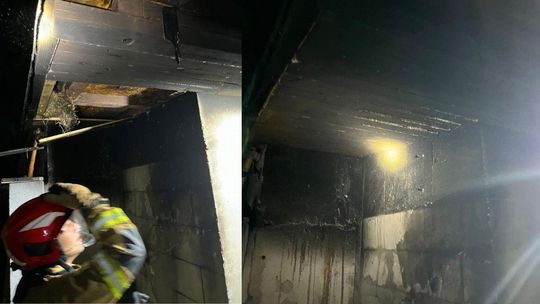 Pożar altanki na ROD „Tęcza” przy ul. Kozielskiej. Szybka akcja strażaków Pożar altanki na ROD „Tęcza” przy ul. Kozielskiej. Szybka akcja strażaków