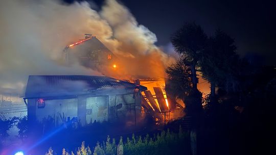 Pożar budynków w Grzędzinie. Ogień rozprzestrzenił się błyskawicznie, ewakuowano mieszkańców