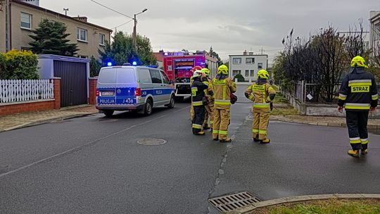 Pożar drzewek przy budynku w Śródmieściu. Interweniowała straż pożarna i policja. ZDJĘCIA