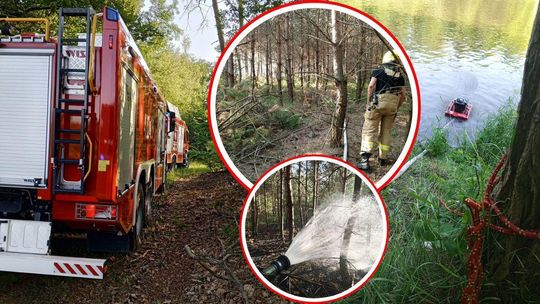 Pożar lasu w Kędzierzynie-Koźlu. Akcja strażaków wspierana z powietrza przez Dromadera. ZDJĘCIA