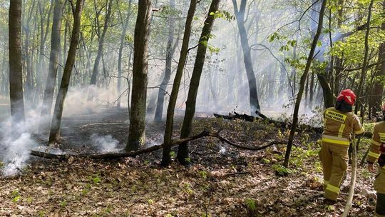 Pożar lasu w Kędzierzynie. Na miejscu liczne zastępy straży i śmigłowiec gaśniczy foto: Archiwum
