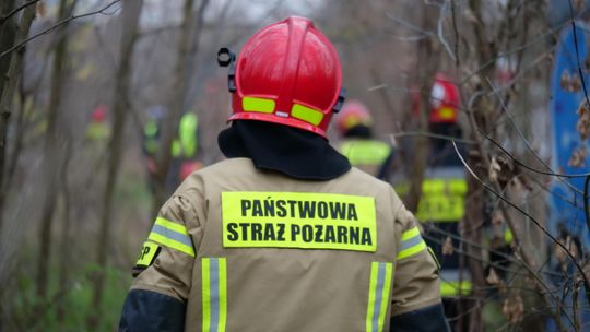 Pożar lasu w Kłodnicy. Na miejscu trwa akcja gaśnicza
