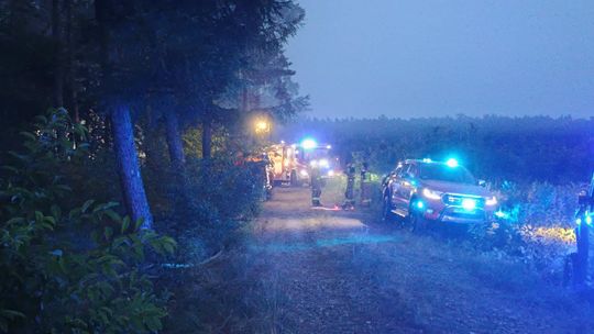 Pożar lasu w Kłodnicy! Sytuacja jest już opanowana