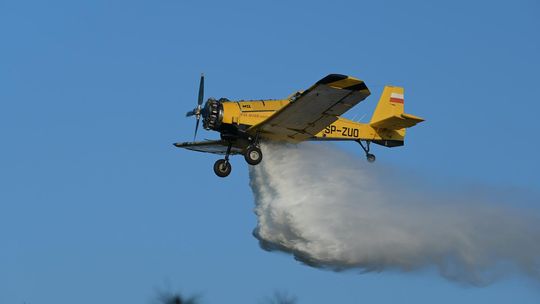 Pożar lasu w Kłodnicy. W akcji samolot gaśniczy
