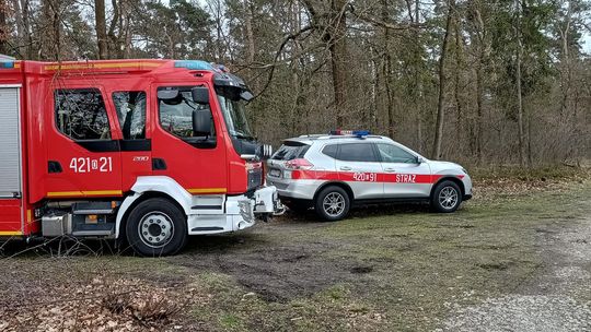 Pożar młodnika w Kłodnicy. Na miejscu interweniowała straż pożarna