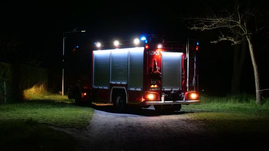 Pożar na terenie ogródków działkowych. Interweniowali strażacy