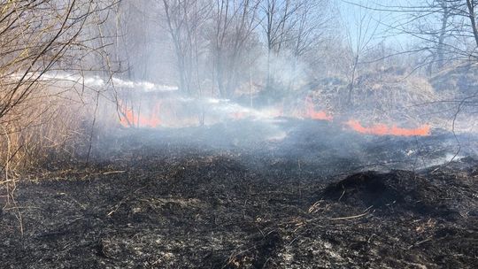 Pożar nieużytków przy ulicy Tartacznej. Zdjęcia z akacji strażaków Pożar nieużytków przy ulicy Tartacznej. Zdjęcia z akacji strażaków