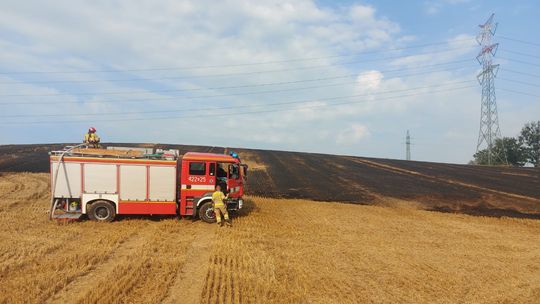 Pożar ścierniska w Ciężkowicach. Na miejscu 6 zastępów straży pożarnej