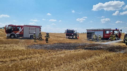 Pożar ścierniska w Przedborowicach. Na miejscu działali strażacy foto: OSP Gościęcin