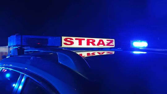 Pożar w Śródmieściu. Spłonęło około 60 metrów kwadratowych ściółki