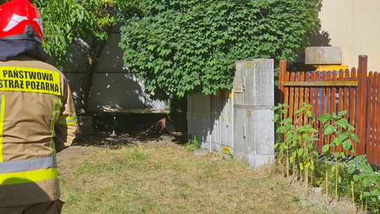 Pożar skrzynki rozdzielczej. Interweniowała straż pożarna