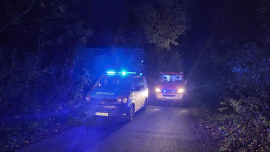 Pożar odpadów na poboczu drogi w Steblowie. Interweniowały straż pożarna i policja