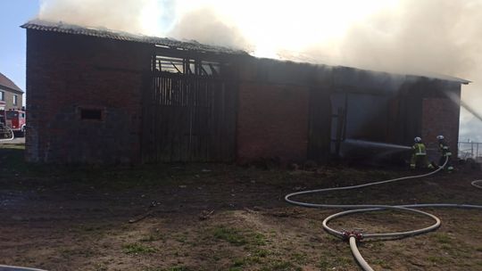 Pożar stodoły w miejscowości Dębowa. W budynku znajdowały się zwierzęta. ZDJĘCIA