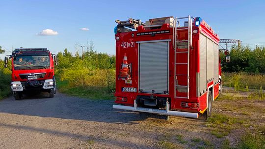 Pożar suchej trawy przy torowisku. Na miejscu straż pożarna