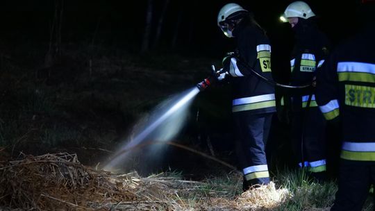 Pożar trawy w Lenartowicach